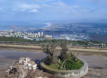 israel/haifa/attraction/hecht-museum
