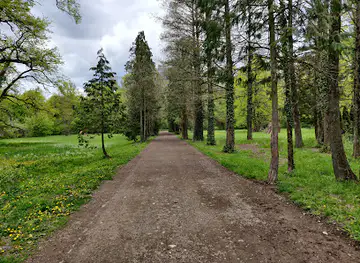 Parcul Dendrologic Bazoș