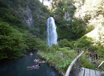 chile/los-rios-region/attraction/termas-el-rincon