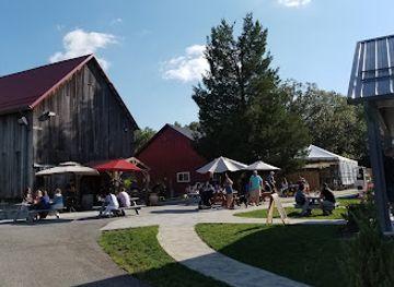 maryland/sandy-point-state-park/attraction/great-frogs-winery