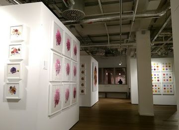 The Gallery at Foyles