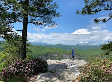 north-carolina/pisgah-national-forest/attraction/the-chimneys