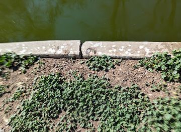 california/fresno/attraction/crane-nest-island