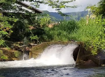 belize/toledo-district/attraction/roseville-ford