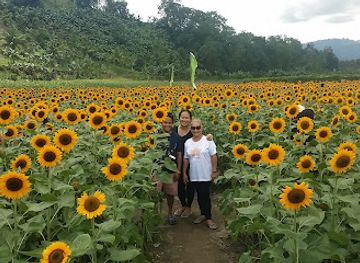 philippines/soccsksargen/attraction/mariano-s-blooming-agri-tourism-park
