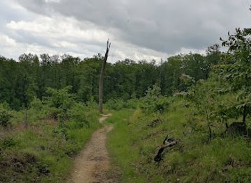 hungary/sopron/attraction/cyclamen-nature-trail