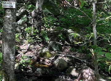 rhode-island/arcadia-management-area/attraction/crawley-preserve