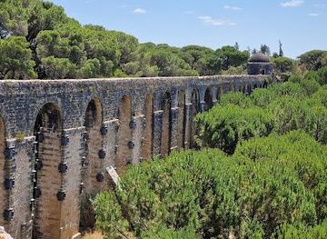 portugal/tomar/attraction/aqueduto-do-convento-de-cristo-troco-pegoes-altos