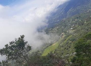 colombia/cali/attraction/forest-mist-san-antonio