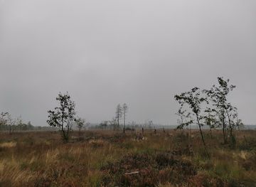 belgium/hautes-fagnes/attraction/landscape-fagnes-and-surroundings