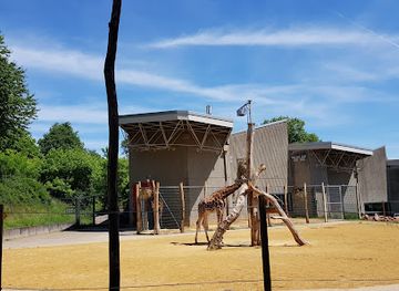 germany/saarland/attraction/saarbrucken-zoo