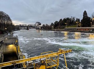 washington/federal-way/attraction/ballard-locks-fish-ladder