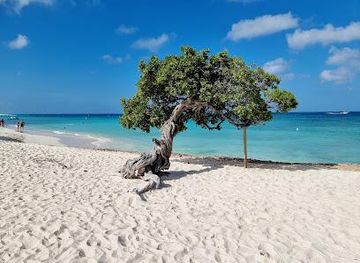 aruba/sero-blanco/attraction/eagle-beach