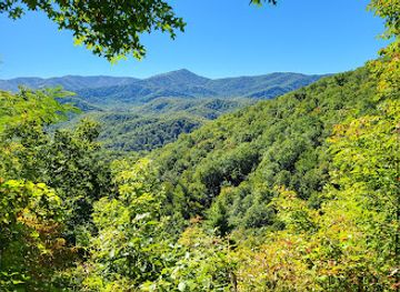 tennessee/appalachian-mountains/attraction/adventure-park-ziplines