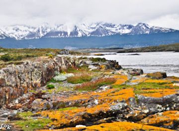 argentina/tierra-del-fuego-national-park/attraction/plaza-islands-malvinas