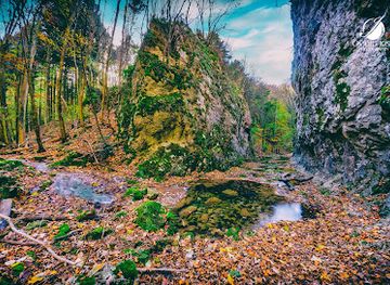 romania/cheile-nerei-national-park/attraction/cheile-susarei