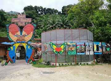 philippines/central-visayas/attraction/bohol-lemur-and-butterfly