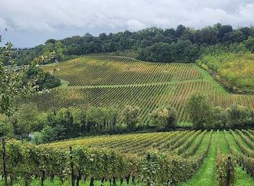 italy/montepulciano/attraction/tuscan-escapes-siena-tours