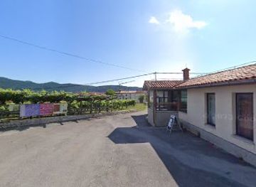 slovenia/sezana/attraction/potomka-najstarejse-trte-na-svetu