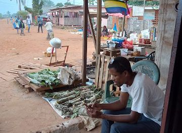 gabon/akanda-national-park/attraction/anpn-cellule-scientifique