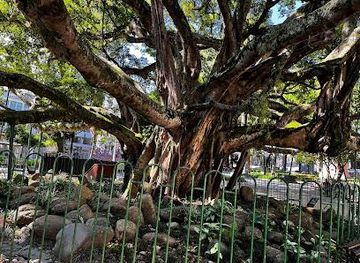 brazil/florianopolis/attraction/praca-xv-de-novembro