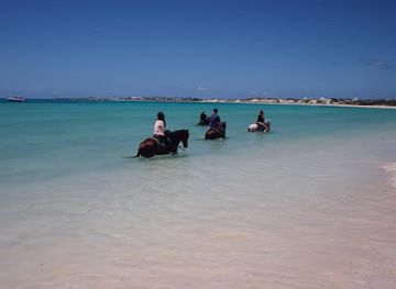 anguilla/blowing-point-village/attraction/cova-bay-horse-riding-route