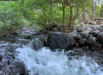 philippines/subic/attraction/pamulaklakin-trail