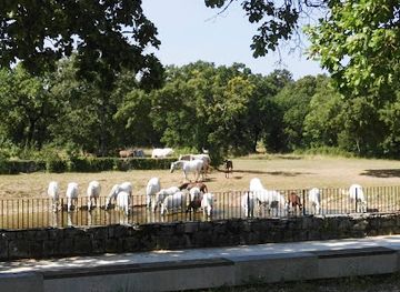 slovenia/sezana/attraction/kobilarna-lipica-lipiska-krajina-pasne-in-travniske-povrsine