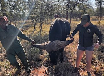 south-africa/kruger-national-park/attraction/wildlife-adventure-africa