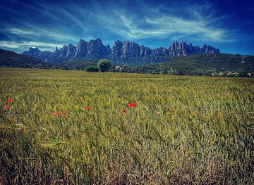 spain/catalonia/attraction/pla-de-masroig