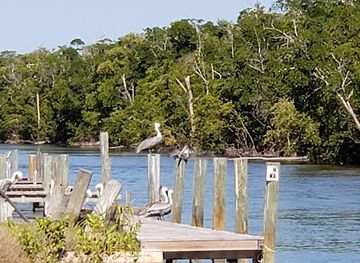 florida/fakahatchee-strand-preserve-state-park/attraction/everglades-florida-adventures