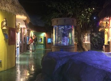 dominican-republic/santo-domingo/attraction/aquamundo-sambil