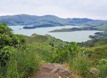 new-zealand/canterbury/attraction/view-point