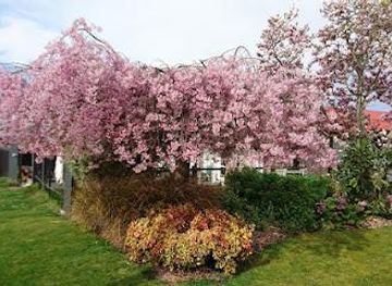 new-zealand/timaru/attraction/geraldine-visitor-centre