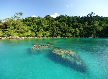 madagascar/masoala-national-park/attraction/famolankely