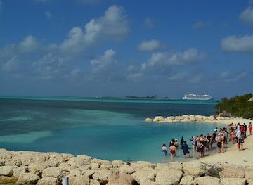 the-bahamas/berry-islands/attraction/swim-with-the-pigs