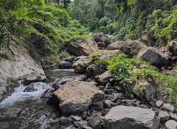 saint-vincent-and-the-grenadines/chateaubelair/attraction/owia-waterfall