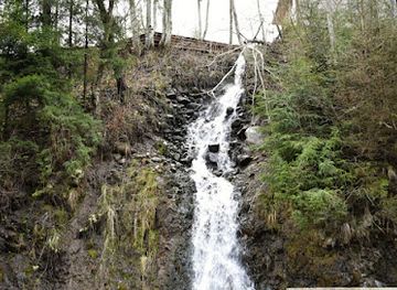 romania/bistrita-nasaud/attraction/waterfall-grizzlisor