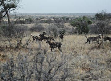 kenya/laikipia-plateau/attraction/nanyuki-show-ground