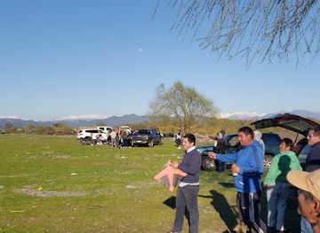 chile/curico/attraction/volantinodromo-curico