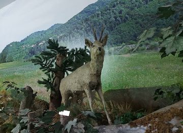 romania/prahova-valley/attraction/muzeul-natura-vaii-teleajenului