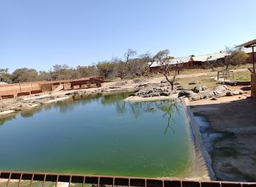south-africa/waterberg/attraction/thaba-kwena-crocodile-farm