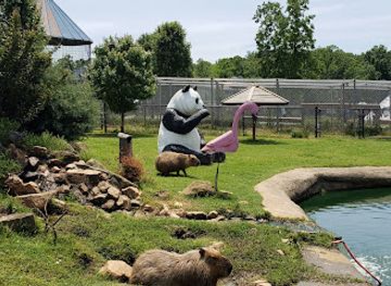 north-carolina/mountain-region/attraction/zootastic-park