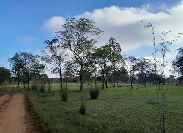 malawi/lilongwe/attraction/eden-gardens