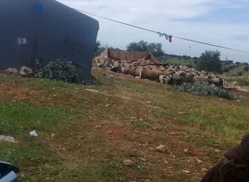 lebanon/bekaa-valley/attraction/al-rifai