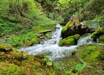 romania/bihor/attraction/pestera-grota-ursului