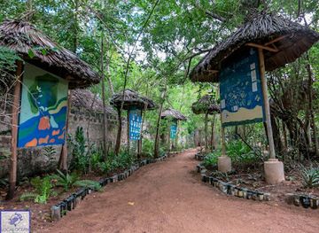 kenya/coastal-region/attraction/local-ocean-conservation