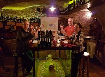 slovenia/kamnik/attraction/wine-tasting-ljubljana-slovenian-wine