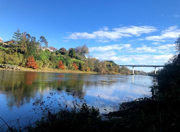 new-zealand/hamilton/attraction/miropiko