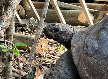 mauritius/belle-mare/attraction/ile-aux-aigrettes